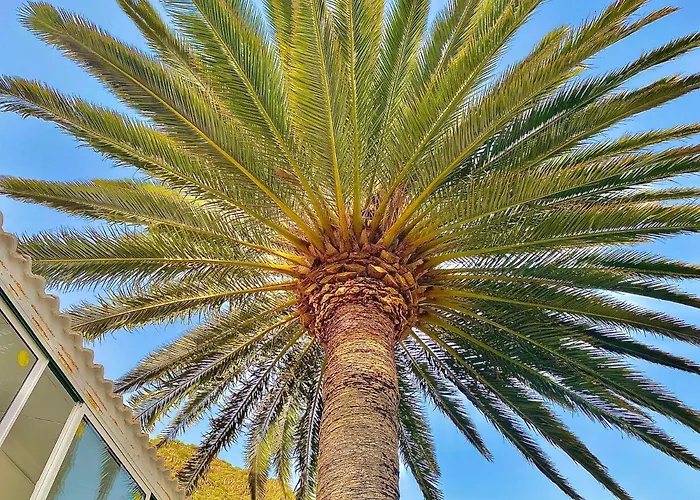 Sweet Séjour à la campagne